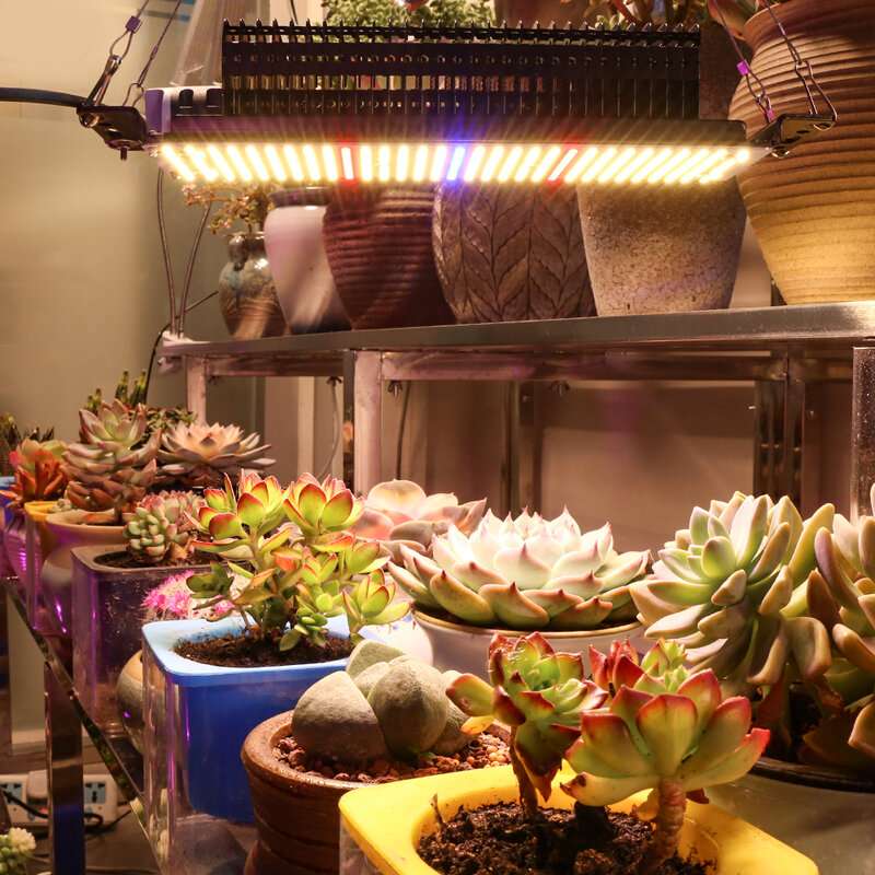 LED 성장 조명 전체 스펙트럼 식물 램프, 수경 식물 성장 상자, 실내 꽃 채소 묘목 온실, 300W