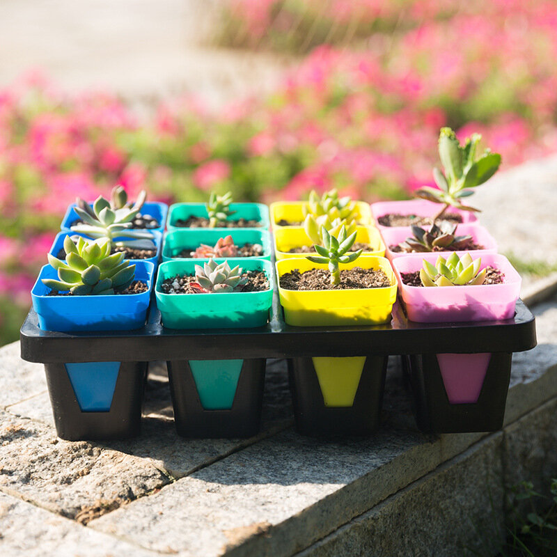 Mini pot de fleurs succulentes carré, décoration de bureau, maison, jardin, 1 pièce