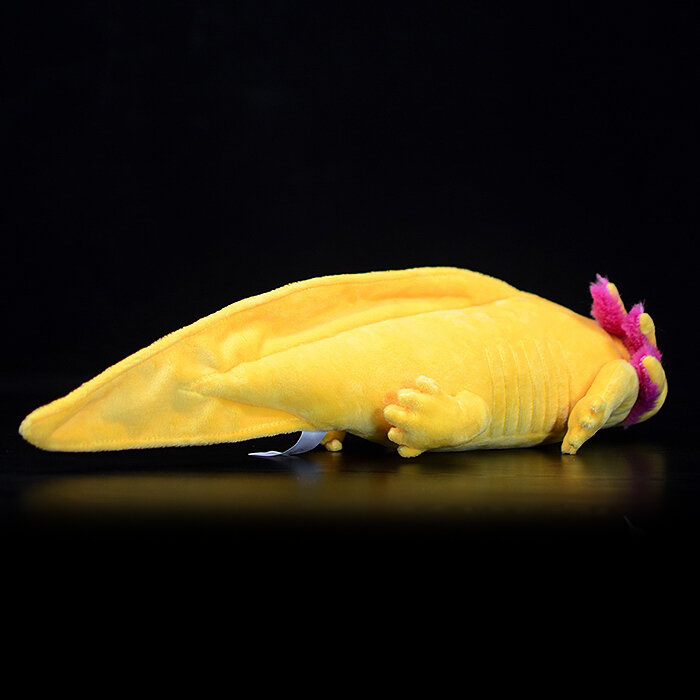 Axolotl Stuffed Plush Toy para crianças, Simulação da vida real, Ambystoma, Dinossauro mexicano, Modelo animal, Boneca fofa, Presente áudio