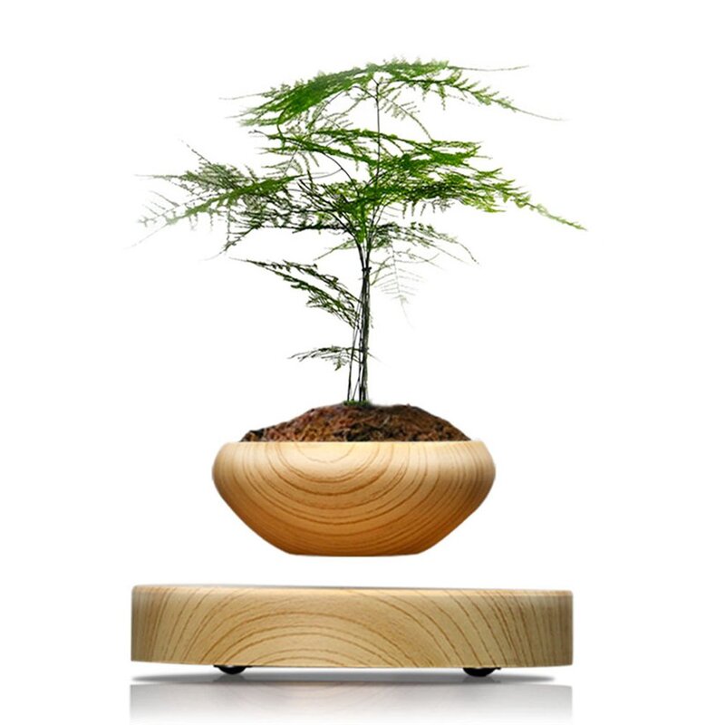 Lévitation magnétique Air bonsaï Suspension lévitation fleur Pot plante Led salon bureau décoration