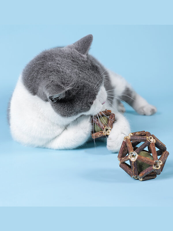 Naturalna kocimiętka kij LingLong piłka wielokątów Mutabilis czyszczenie zębów kota molowy kij kot przekąski piłka akcesoria dla zwierząt zabawka dla kota