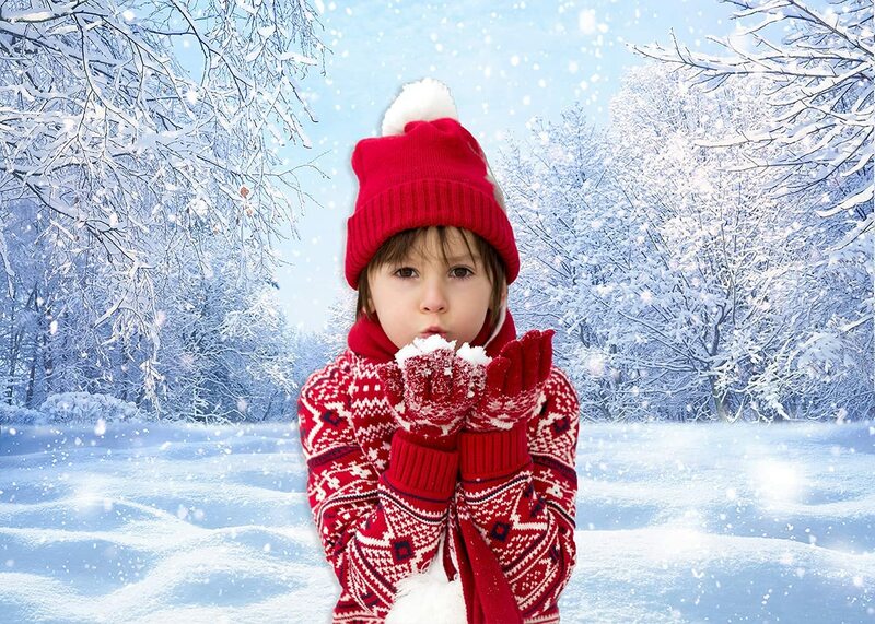 冬のクリスマスシーンの背景,雪の女王の写真の背景,小道,雪片,自然の雪の風景,バナー