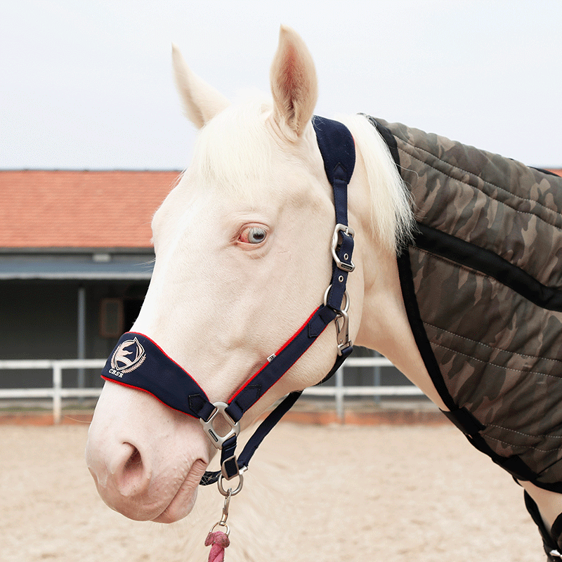 Походная уздечка, регулируемая уздечка для лошади, металлические детали высокого качества, оборудование для конного спорта Ho