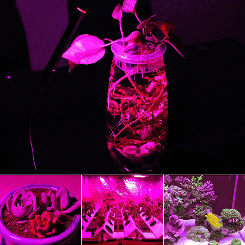 COB LED 칩 Phyto 램프 전체 스펙트럼 AC 220V 10W 20W 30W 50W 실내 식물 모 종 성장 및 꽃 성장 조명