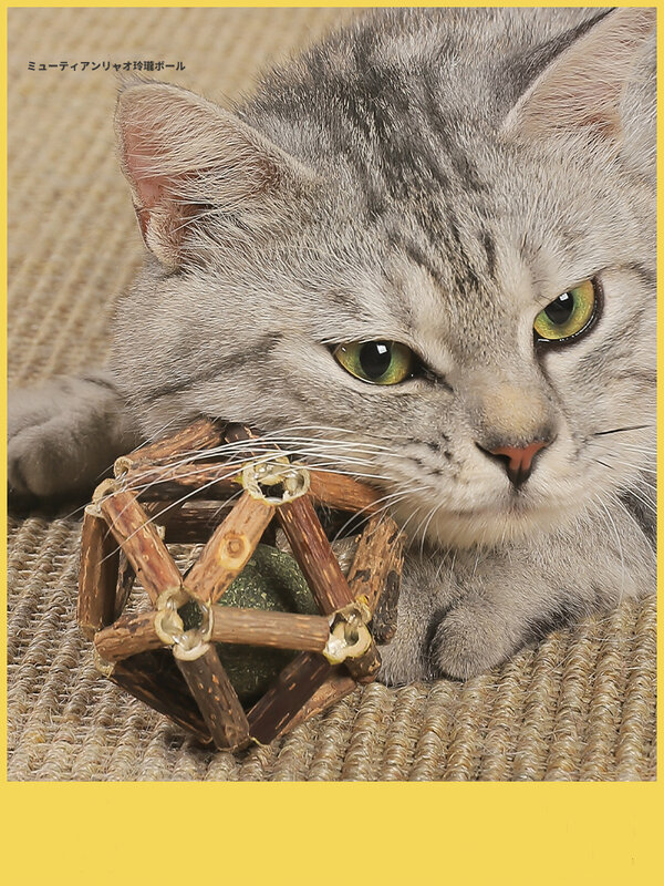 Natürliche Katzenminze Stick LingLong Ball Von Polygone Mutabilis Katze Reinigung Zähne Molaren Stick Katze Snacks Ball Pet Zubehör Katze Spielzeug