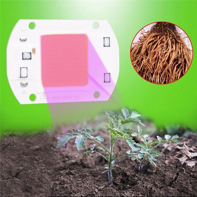 Lampe horticole de croissance LED COB, 20/30/50W, 220V, sans pilote, éclairage pour culture intérieure de plantes, semis