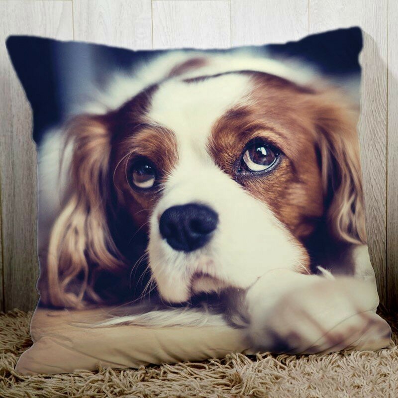 Custom Pillow case Personalized cozy pillowcase Printed Your Design picture text home decorative pillows Household Gifts 45x45cm