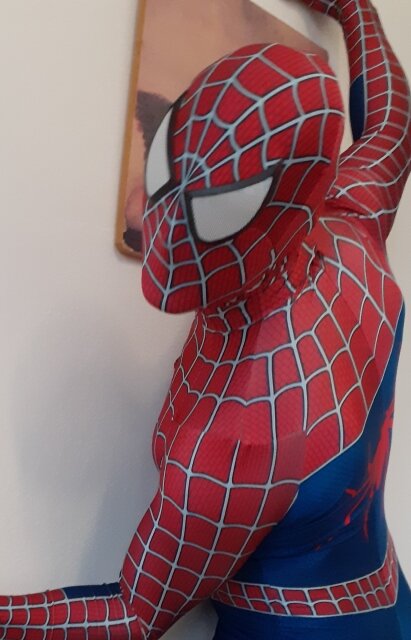 Raimi Spiderman Kostüm Spandex 3D Print Halloween Spiderman Cosplay Body Superhero Kostüm Zentai Anzug