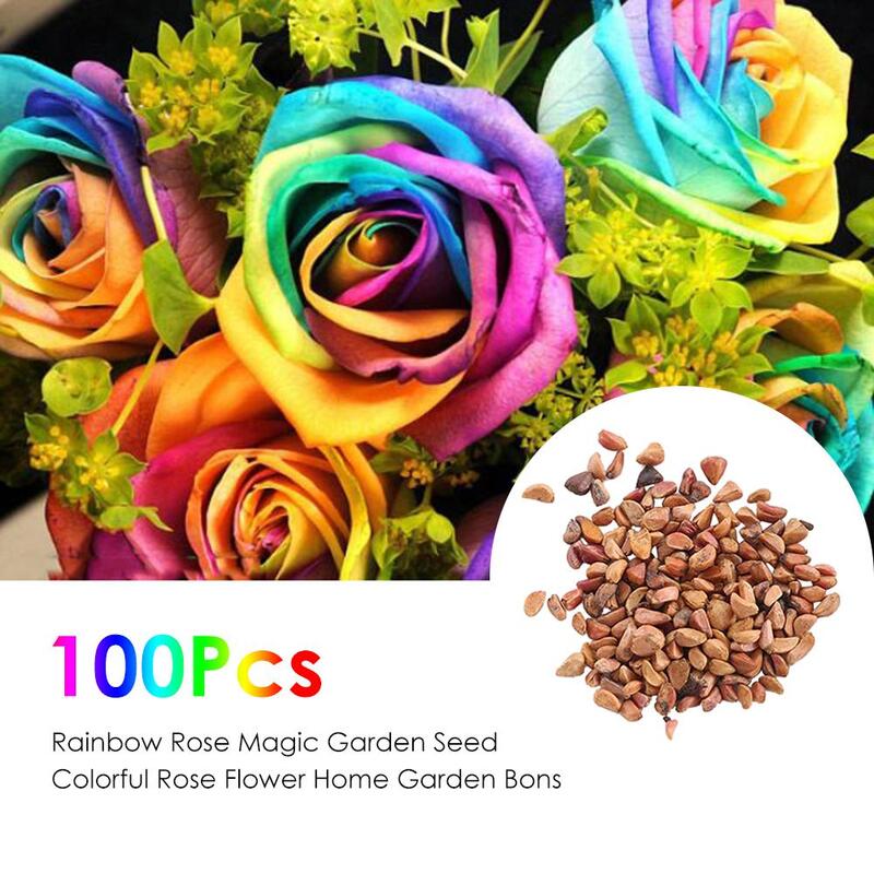 100 Uds arcoíris Rosa semillas de flores jardín bonsái plantas semillas decoración de jardín para hacer uno mismo grano Natural semillas de flores a granel