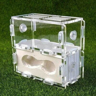 Gypsum & Acrylic Ants Nest Ants Farm House For Small Living Colonies Ants Pets Ant