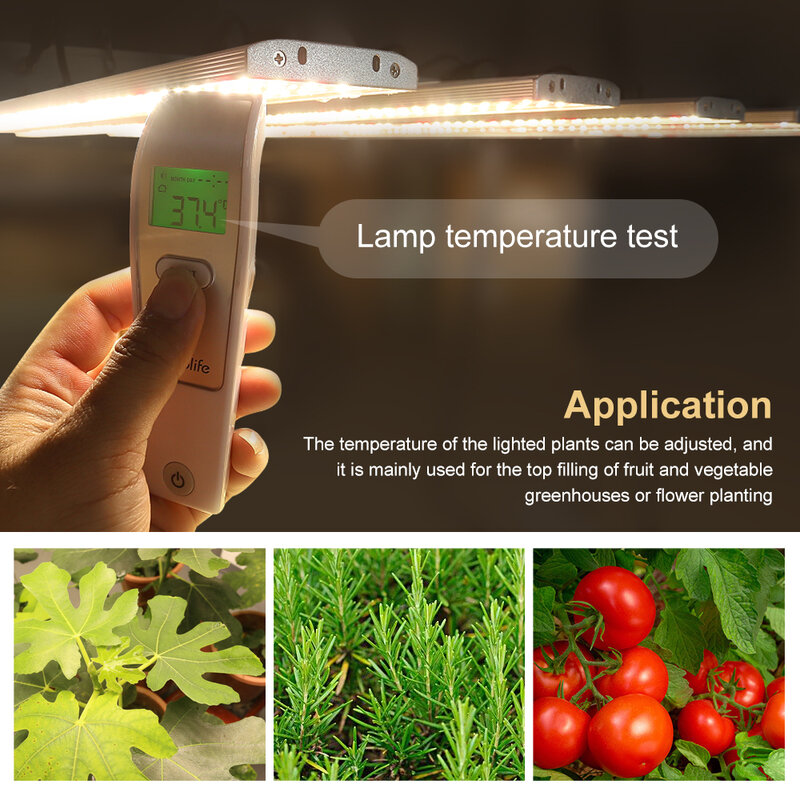 Luces LED de cultivo para plantas de interior, fitoamplificador de espectro completo de 5x5 pies, sistema de cultivo hidropónico para invernadero, 3,0 µ