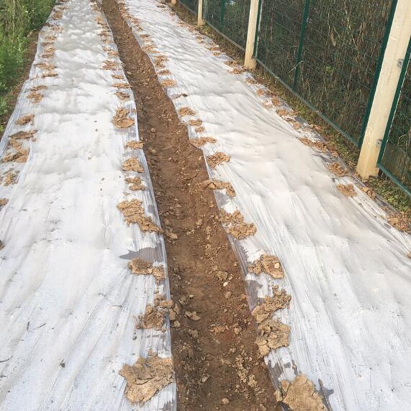 Película de cubierta de suelo de plástico blanco PE, protección contra heladas, mantiene el calor, Control de malas hierbas, mantillo de jardín, 10m, 0.006mm