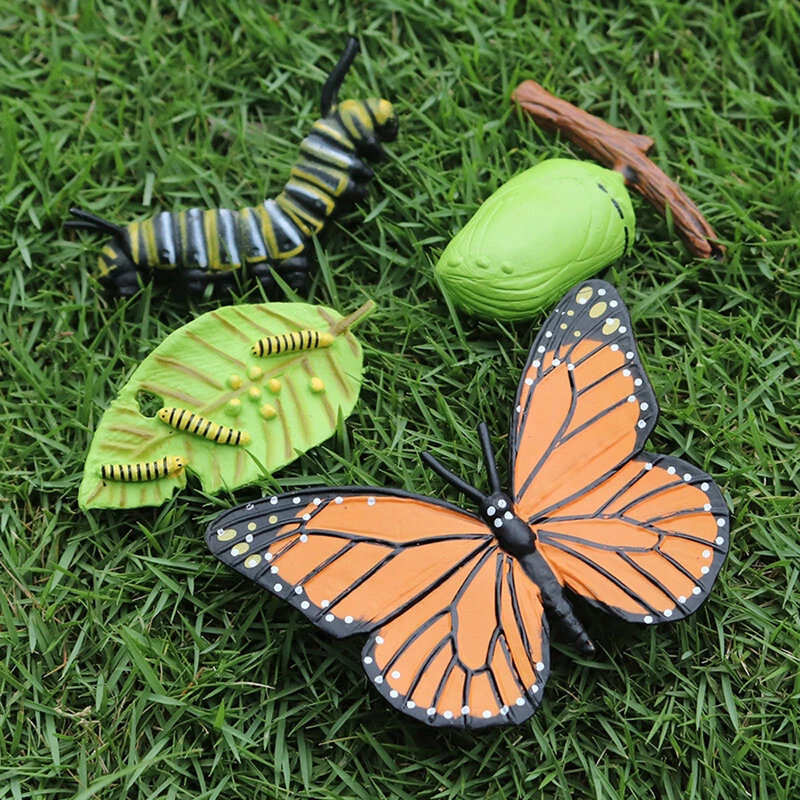 Modelos de plástico del ciclo de crecimiento de animales, figuras de acción de insectos, mariposa, estatuilla de ciclo de vida, simulación de animales, modelo de ciclo de crecimiento