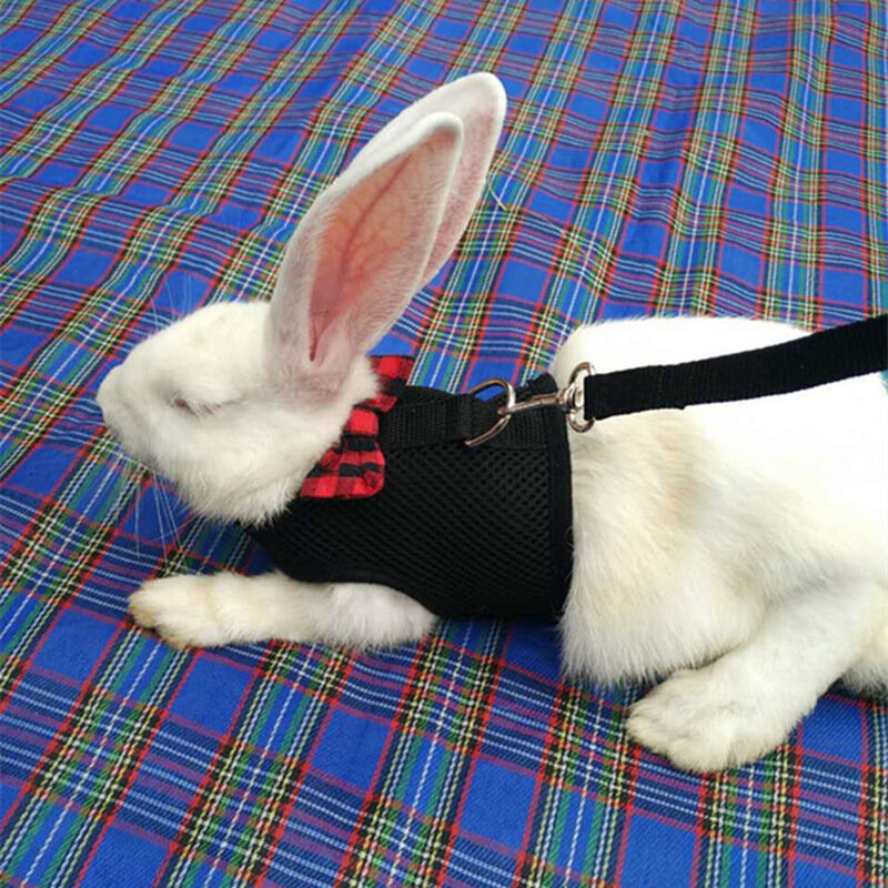 Hot Rabbits Hamster Vest Harness With Leash Bunny Mesh Chest Strap Harnesses Ferret Guinea Pig Small Animals Pet Accessories