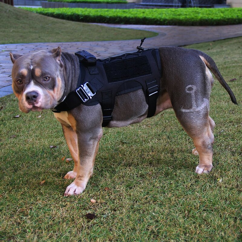 Military Hund Weste Atmungsaktiv Taktische Hund Kleidung Harness Einstellbare MOLLE Training Harness Für Service Hund