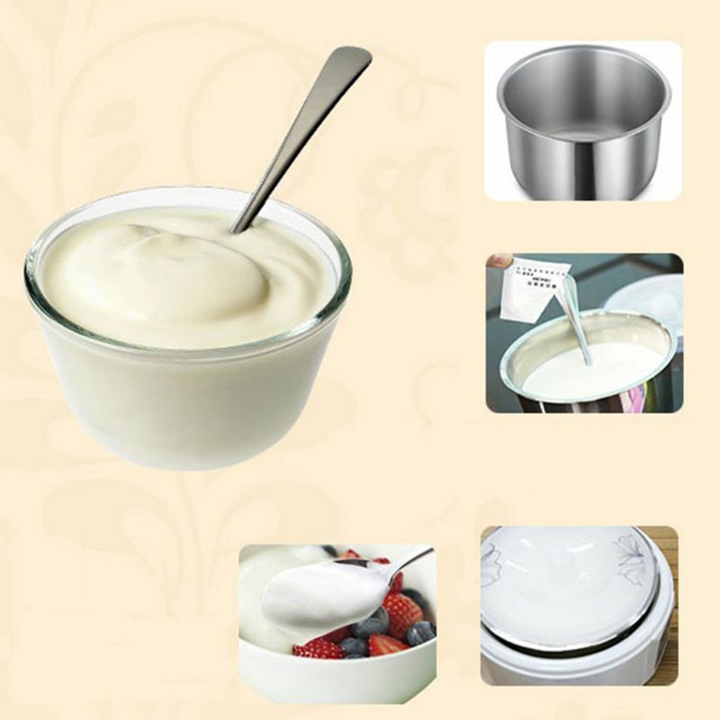 Démarreur de levure de yaourt naturel, 5 Types de probiotiques, fabricant de lactobacilles fait maison