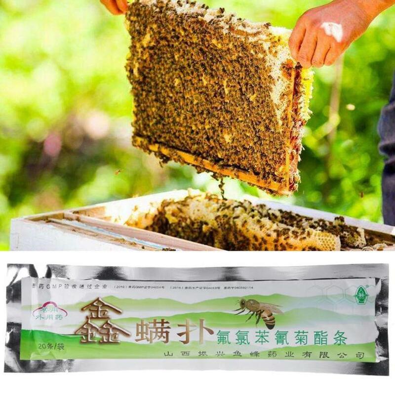 Tiras varroa 20 pçs/saco, fluvalinate, abelha, ácaro, ferramenta de tratamento, controle de pragas para apicultura, envio rápido