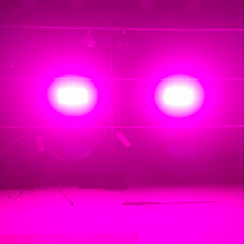 مصباح LED فائق الإشراق ، RGBW ، 48 قسم ، أبيض ، 8000K ، DMX ، Dj شريط الغسيل ، تأثيرات إضاءة المسرح ، 4in 1 ، 200 واط