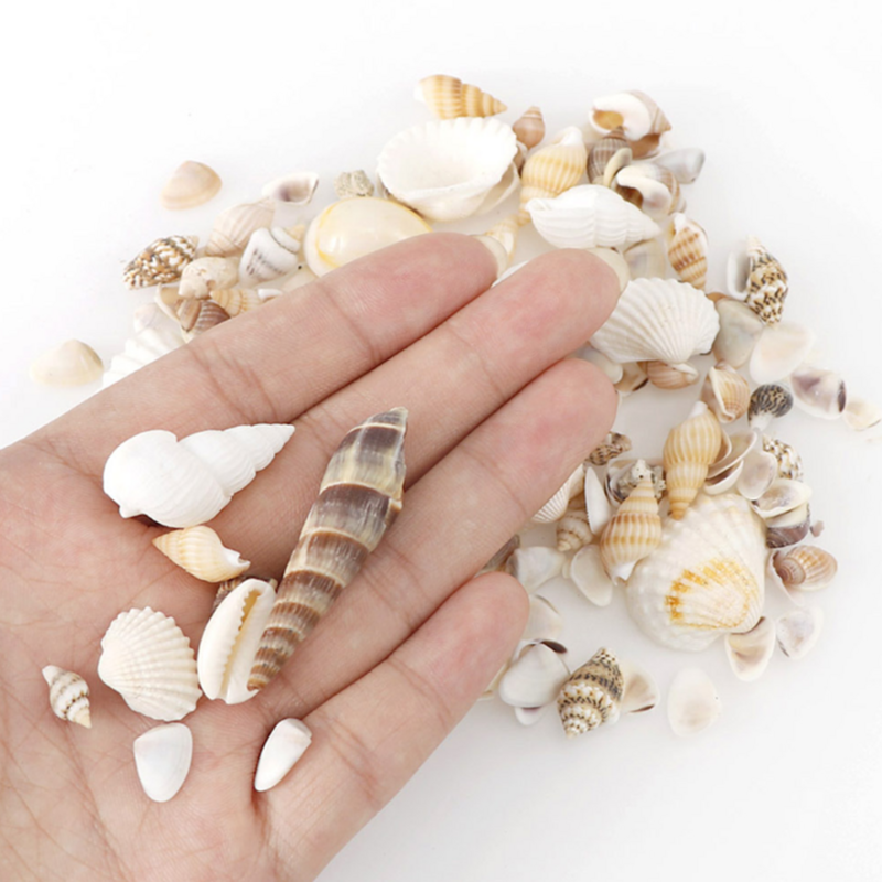 1Bag Oceaan Shell Conch Crystal Epoxy Filler Sieraden Vullingen Accessoire Diy Charms Handgemaakte Rivier Slak Shell Stuff Hars Ambachtelijke