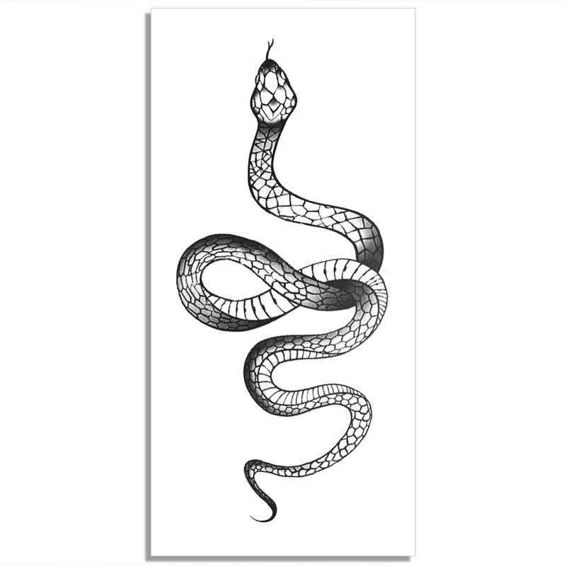 99+ hình xăm con rắn ý nghĩa, đẹp, độc lạ dành cho nam và nữ – Be Dental