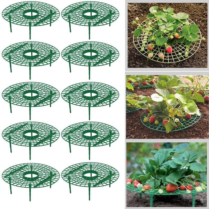 5-20 Pack Strawberry รองรับเก็บพืชยืนผลไม้ผักปลูก Rack อุปกรณ์ทำสวนสำหรับปกป้อง Vines หลีกเลี่ยง Ground