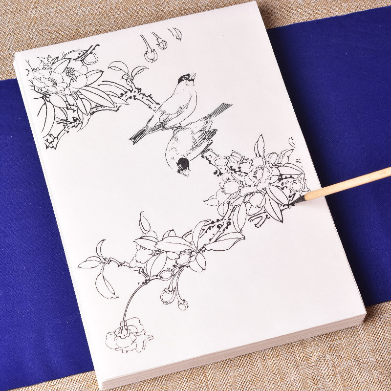Gambar Garis Kertas Xuan Cina Menggambar Naskah Menyalin Praktek Karakter Dasar Tutorial Pemula Nasi Kertas Bunga Burung