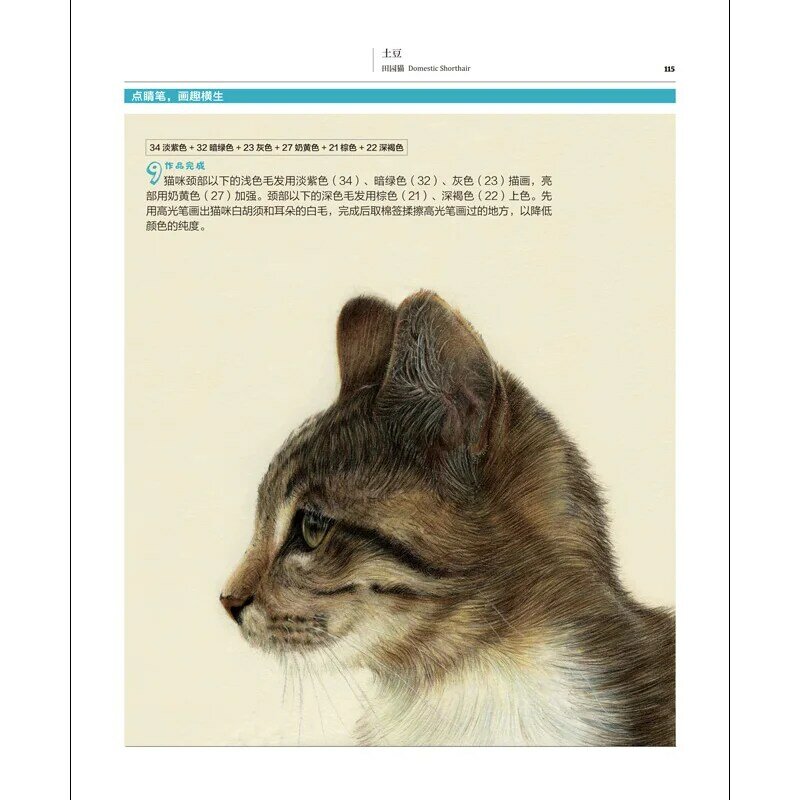 Libro de dibujo con dibujo de gato encantador para adultos, dibujo básico cero, Tutorial, pintura a lápiz, 31 colores, nuevo