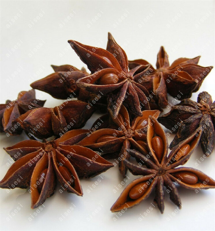 Star Anise Spices 20