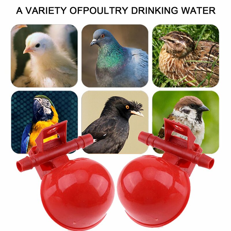 2024 baru otomatis cangkir air ayam kandang burung cangkir minum pakan otomatis unggas ayam unggas unggas peminum peralatan ayam
