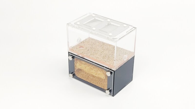 Concrete & Acrylic Ants Nest Ants Farm Independent Active & Feeding Areas And Nests For Middle Or Big colonies