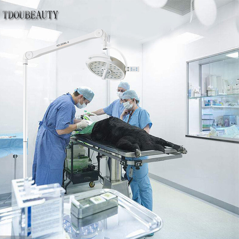 TDOUBEAUTY-lámpara quirúrgica de suelo móvil, lámpara sin sombreado de 108W, para cirugía de mascotas, KD-2036L-3, iluminación de cirugía plástica