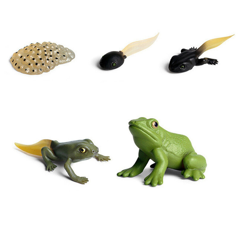 Modelos Plásticos de Animais Insetos, Ciclo De Crescimento De Borboletas, Figuras De Ação, Estatueta, Simulação, Modelos