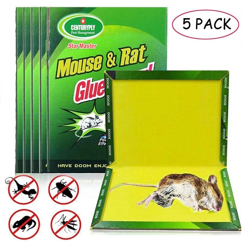 5 pièces maison forte panneau de souris collant forte Viscose souris autocollants respectueux de l'environnement Non toxique souris piège rongeur conseil