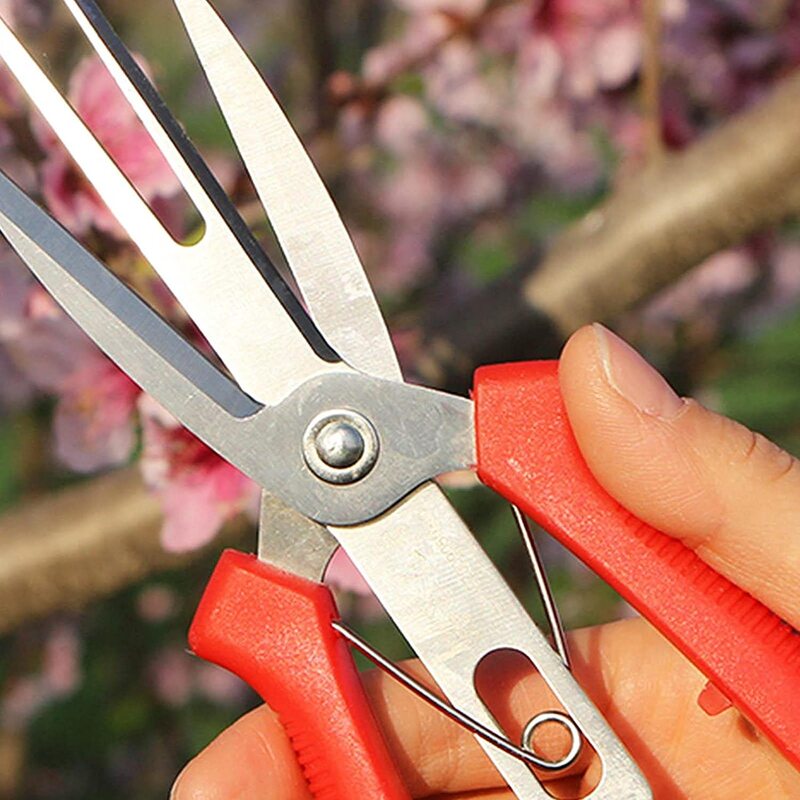 果物や花を切るための農業用痩身はさみ,庭の木を切るための多目的の剪定ツール