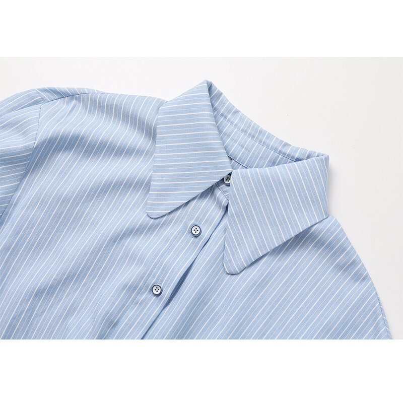 Blusa holgada informal de manga larga con cuello vuelto para otoño, camisa de dos piezas para mujer, 2020