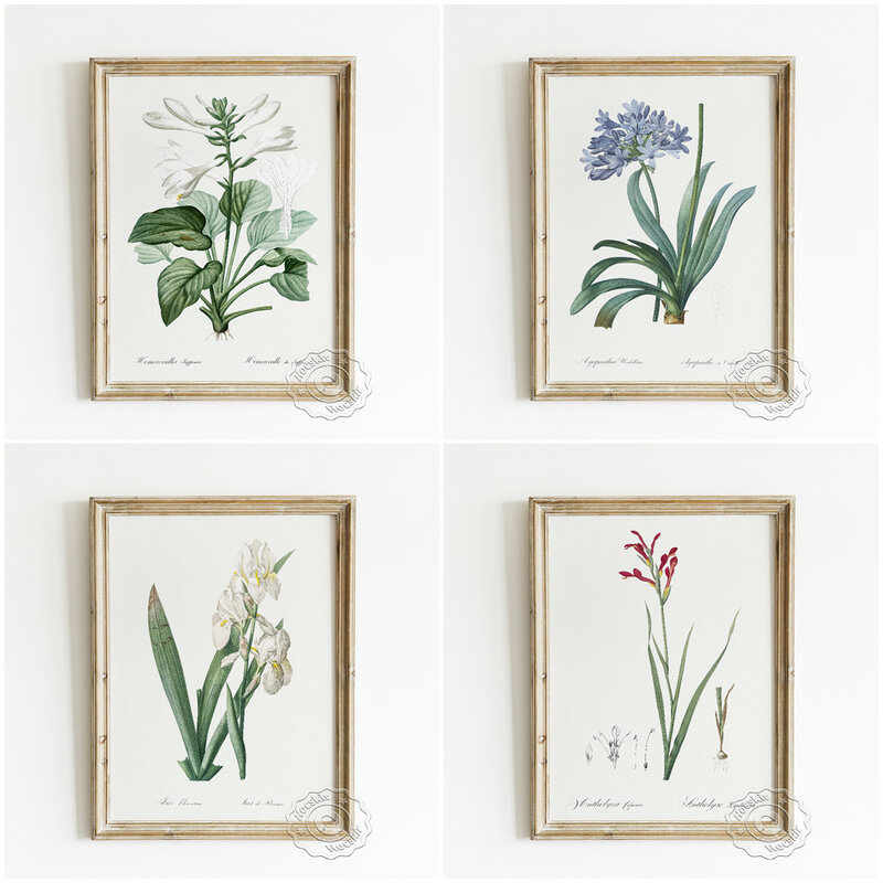 Diverse Bloemen Planten Poster, Aquarel Sier Flora Muur Foto, Rustig Elegante Bloem Home Decoratieve Schilderen