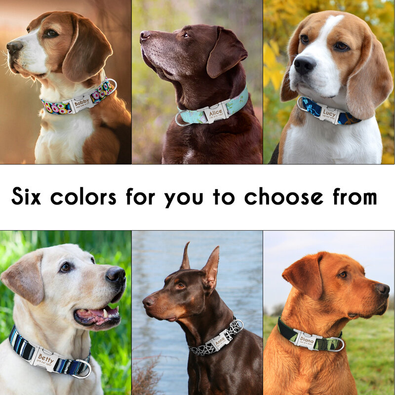 Collar de nailon personalizado para perro, accesorio con estampado para cachorro, identificación grabada gratis para perros pequeños, medianos y grandes