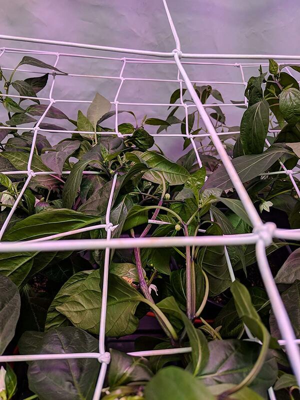 4 ''siatka kratowa wsparcie roślin elastyczna siatka ScrOG/ LST/ HST z haczykami do uprawy w pomieszczeniach namioty skrzynka narzędziowa trening niskostresowy