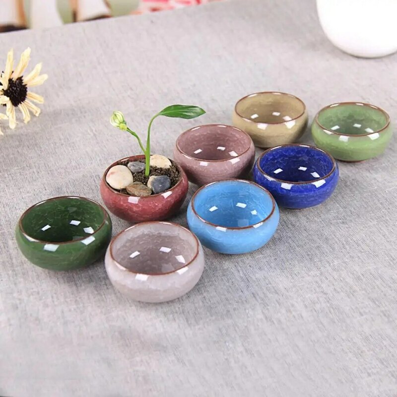 8 cores suculenta vaso de flores delicado prático compacto de cerâmica mini simples planta suculenta plantador para artesanato em casa dropshipping