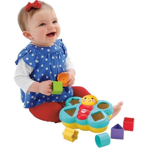 Fisher-Price Shape Matching Companion Butterfly