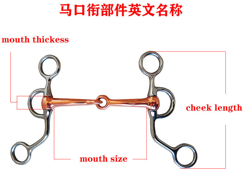 Stainless Steel Horse Snaffle Training Snaffle Bit Equestrian Equipment Supplies