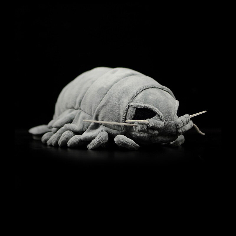 Bathynomus-peluche de animales gigantes para niños, juguete de felpa suave y realista con piojos grandes, modelo de geografía, color gris