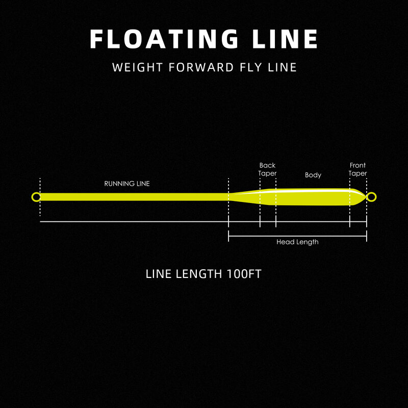 Linha de pesca com laço soldado, Flutuante Fly Line, peso, SF, 100ft, WF3, 4, 5, 6, 7, 8F