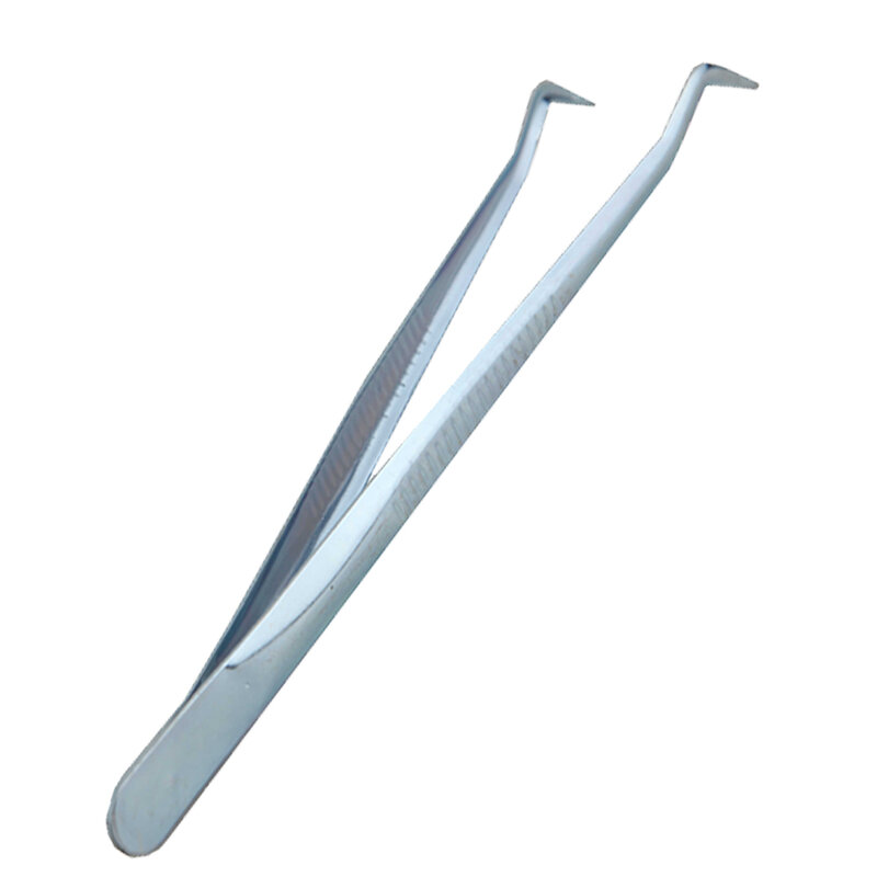 Kit d'instruments dentaires jetables en plastique, avec miroir, pince à épiler, écharpe, pour les soins buccaux, 6 ou 3 pièces