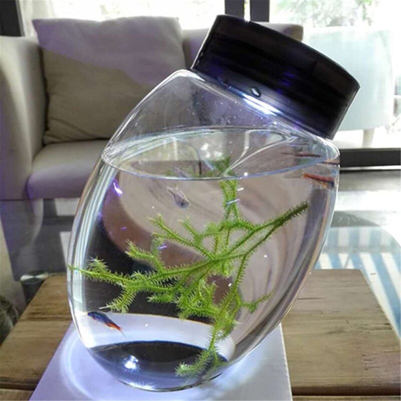 Closed Aquatic Ecosystem with Revolving Base No Need to Change Water/Feed