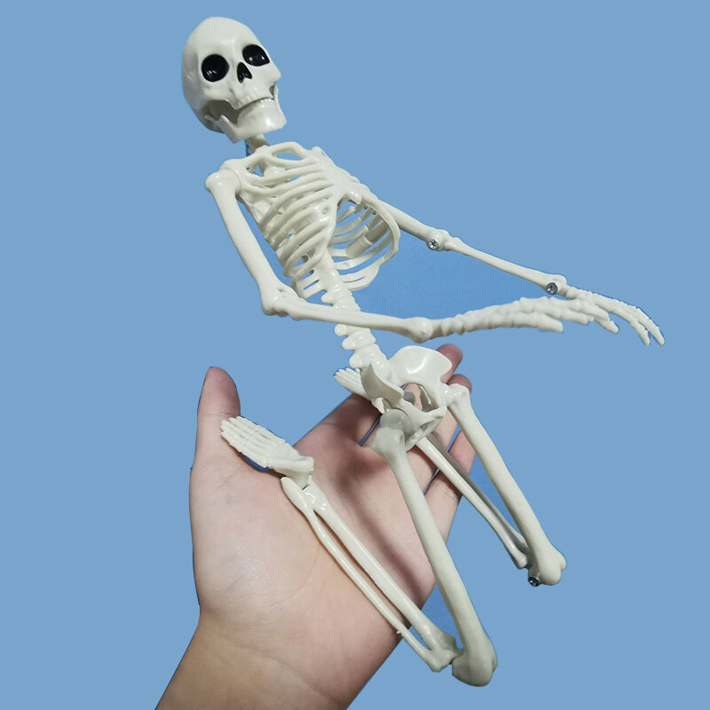 Squelette de personnes actives, modules d'anatomie, apprentissage médical, décoration de fête d'Halloween, croquis d'art
