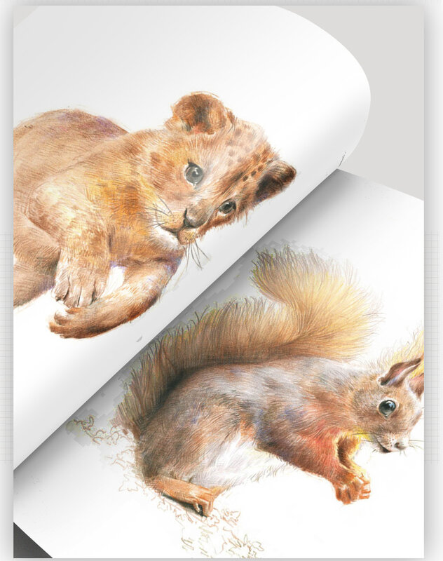 Chinese pencil drawing book 28 kinds of Animal Painting watercolor color pencil textbook Tutorial art book