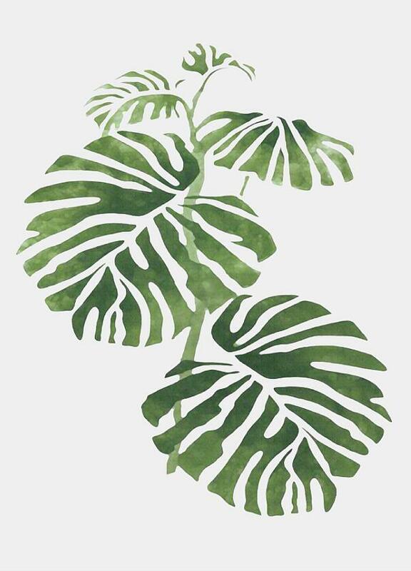 Monstera Deliciosa 잎 벽 아트 캔버스 회화 녹색 스타일 식물 북유럽 포스터 및 인쇄 그림 현대 홈 인테리어