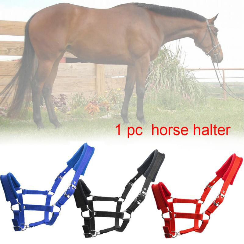 เบาะนุ่ม Pony Horse Halter Bridle Headstall หัวคอ Horse Riding Stable