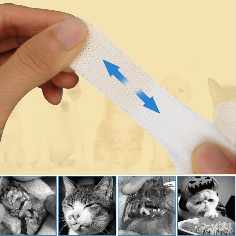 Artykuły dla psów akcesoria do czyszczenia tatarskiego szczoteczka do zębów szczoteczka do zębów dla zwierząt domowych szczoteczka do zębów szczoteczka do zębów dla zwierząt domowych